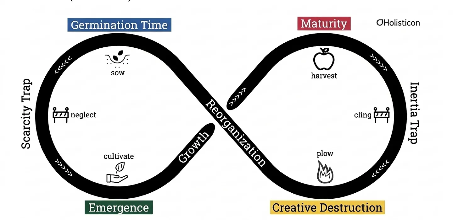 Der Ecocycle: eine Endlosschleife durch Germination Time, Maturity, Creative Destruction und Emergence, mit Scarcity- und Inertia-Fallen.